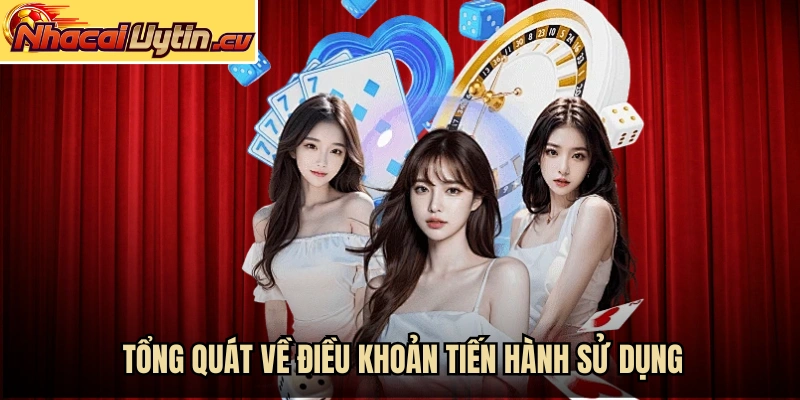 Tổng quát về điều khoản tiến hành sử dụng hiện nay